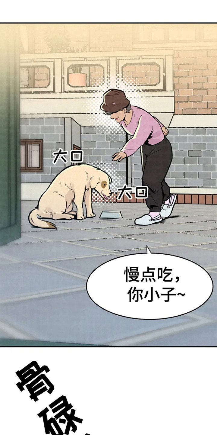 第2章：回来了