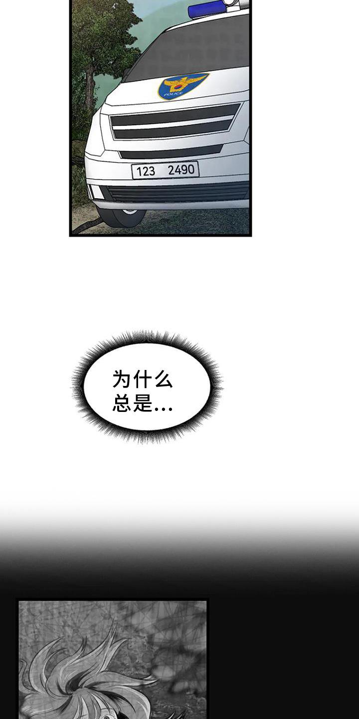 第25章：调查
