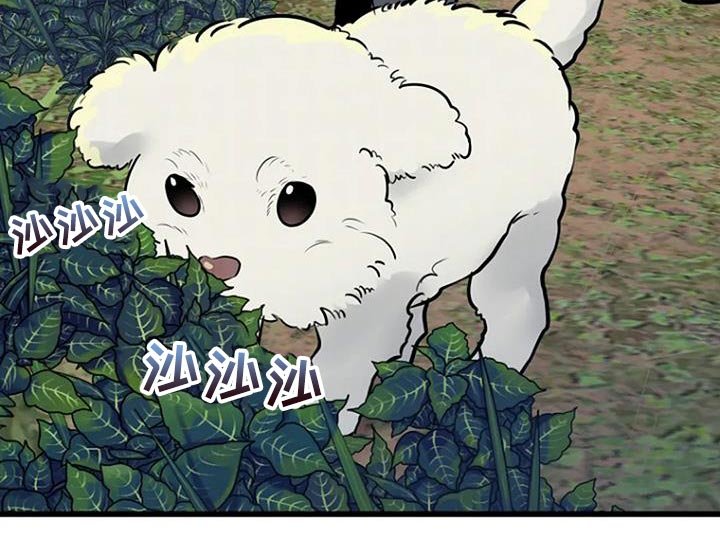 第30章：类似的案件