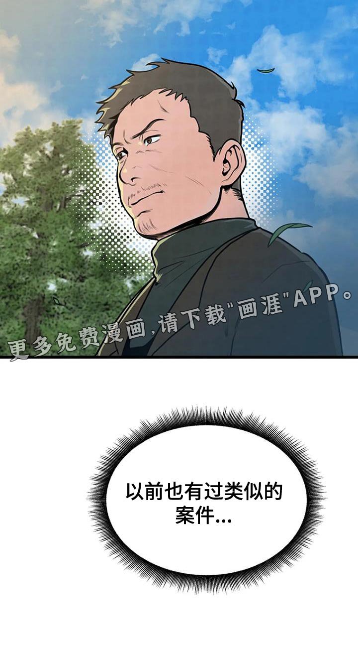 第30章：类似的案件