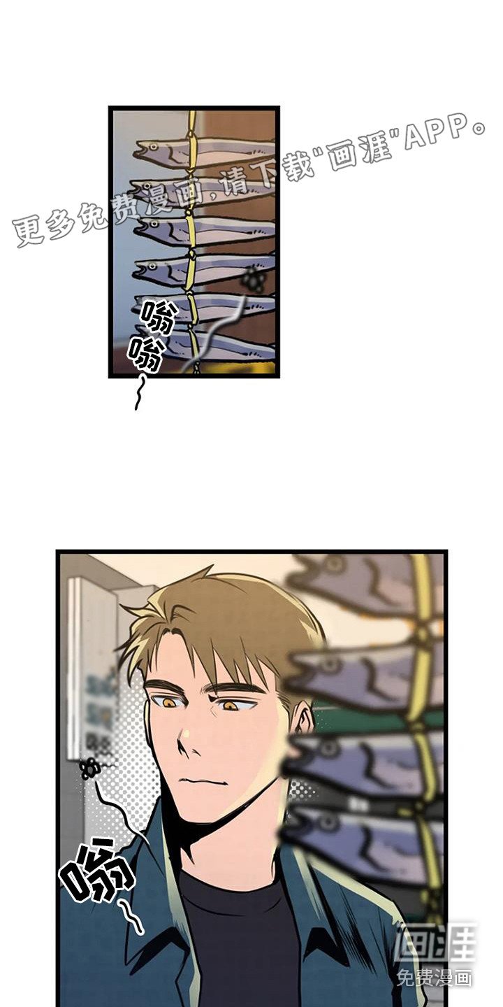 第8章：扔豆腐