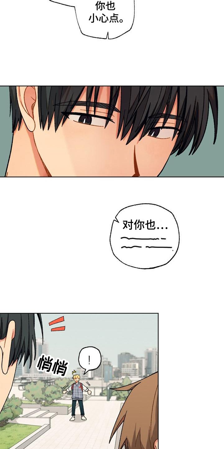 第13章：保护