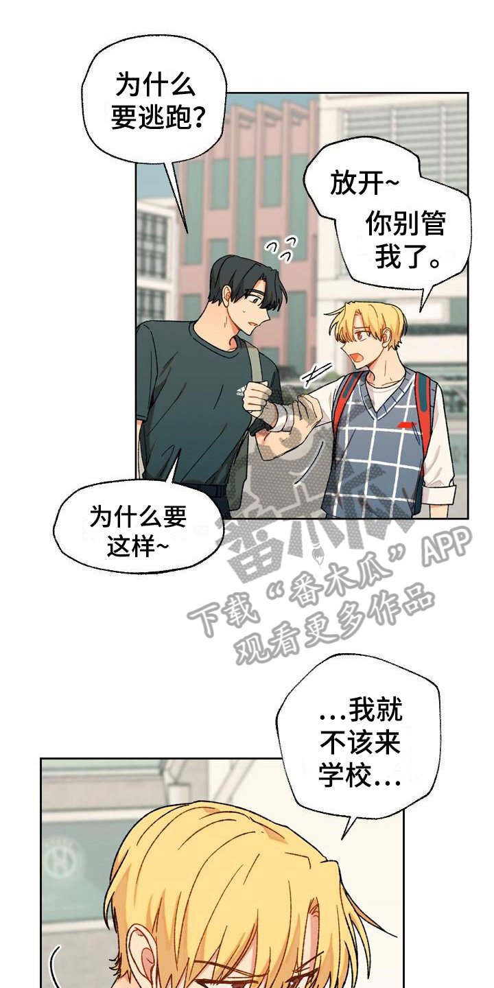 第14章：决定