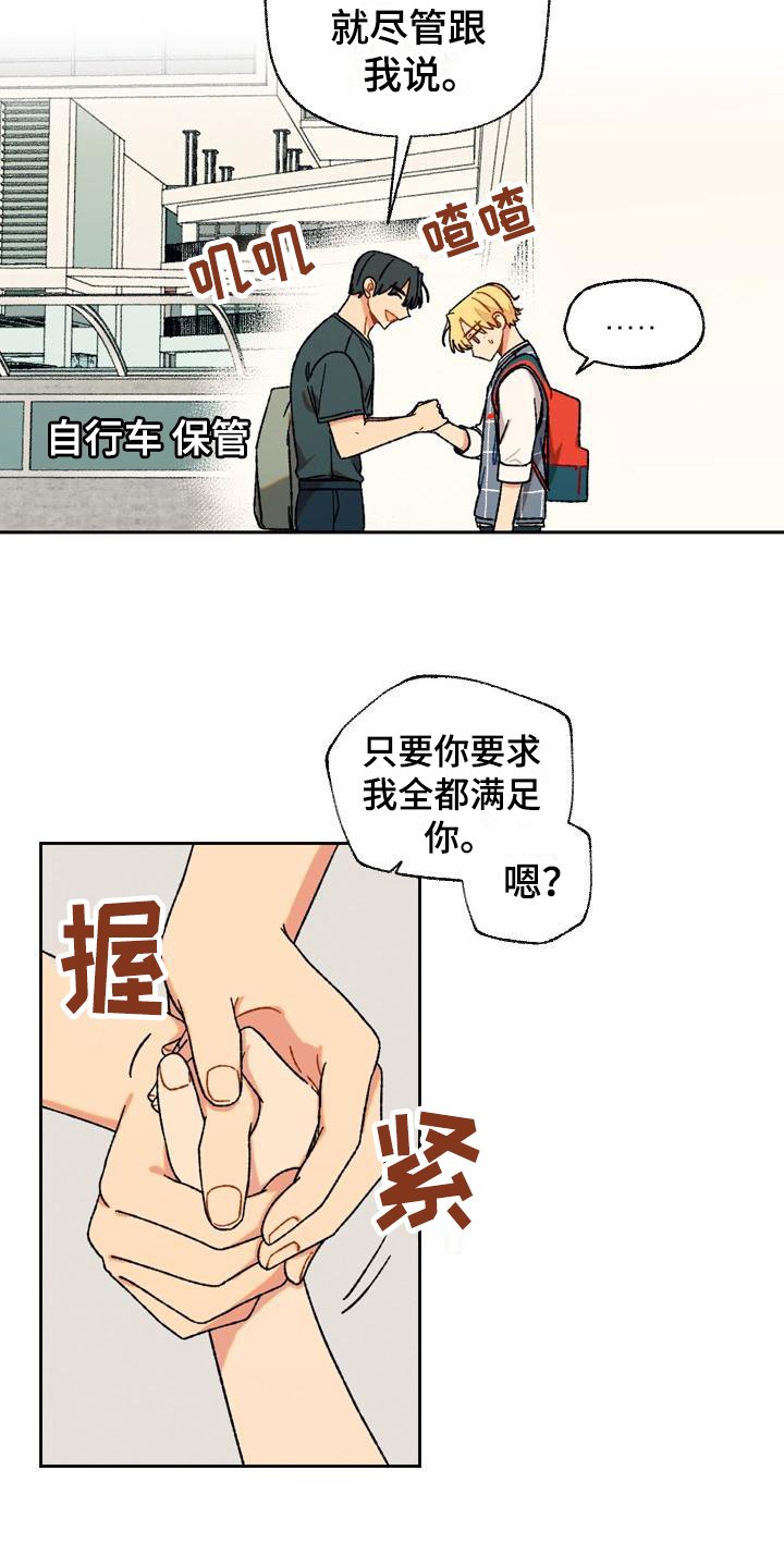 第14章：决定