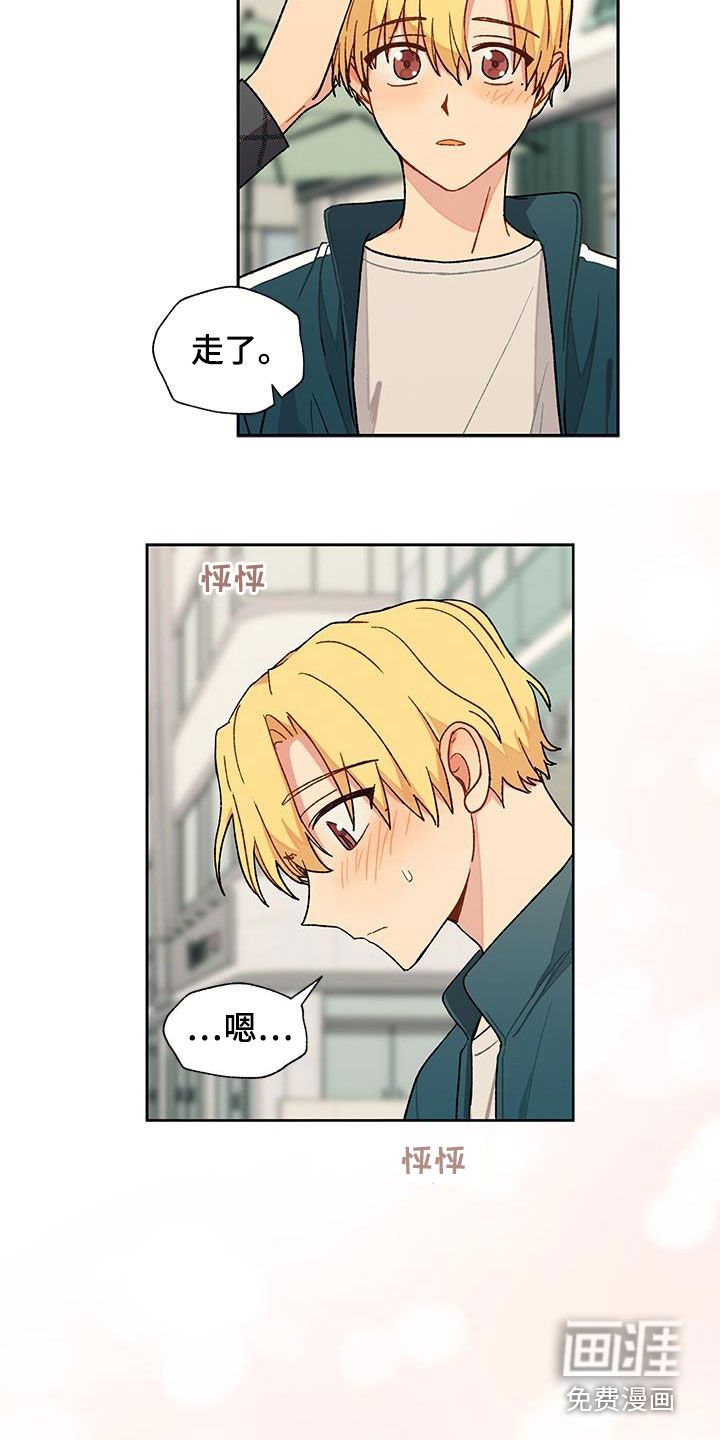 第37章：该怎么办