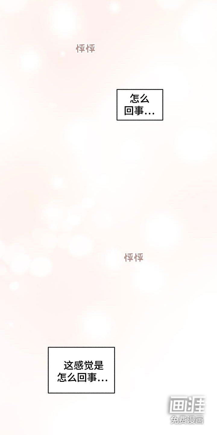 第37章：该怎么办