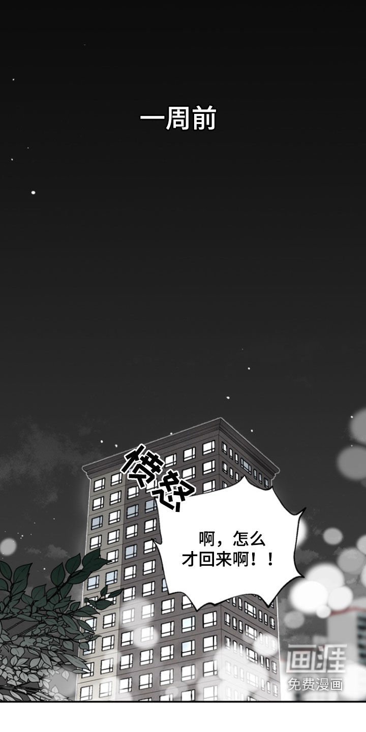第51章：【番外】最重要的东西
