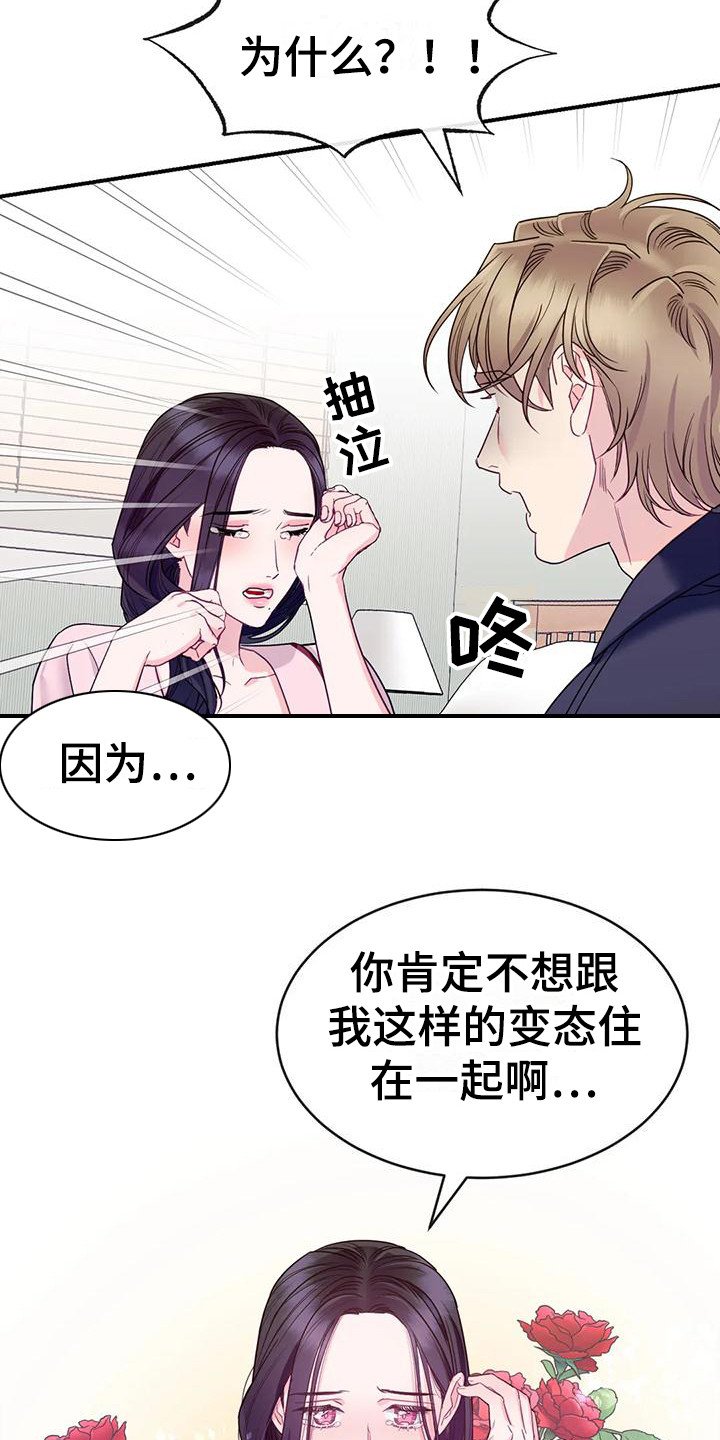 第3章：表白