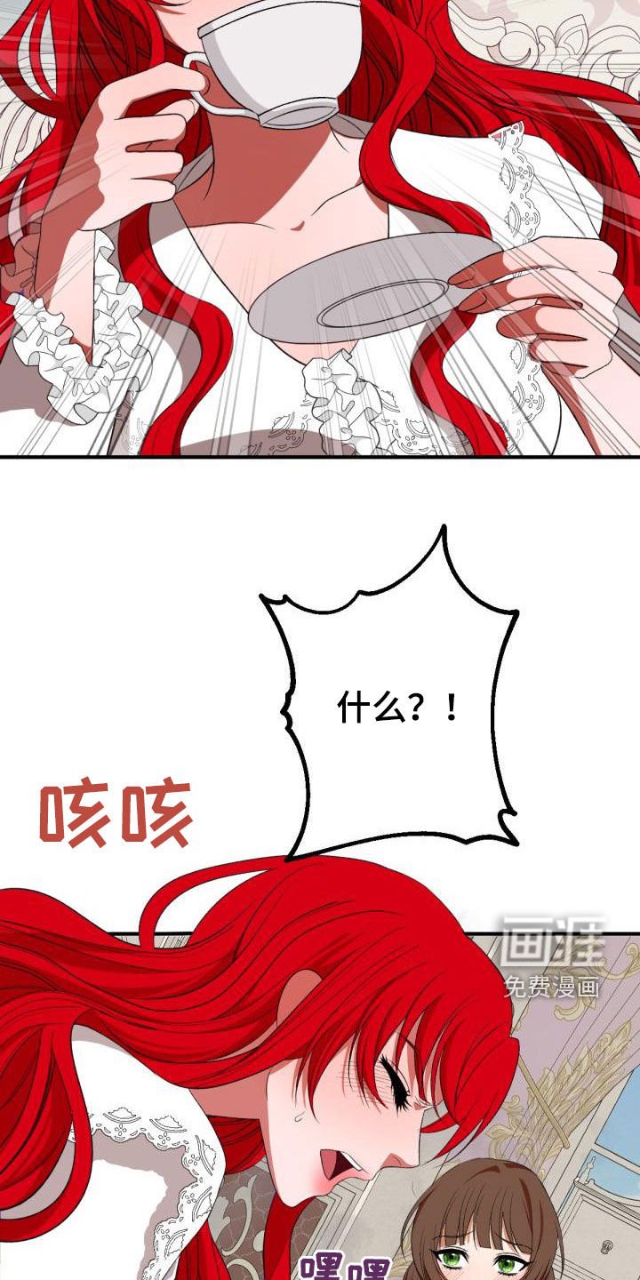 第23章：飞蛾扑火