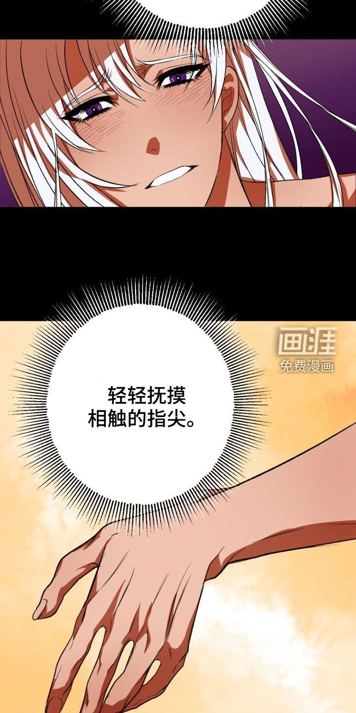 第23章：飞蛾扑火
