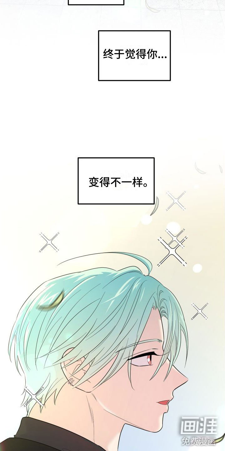 第20章：他的计划