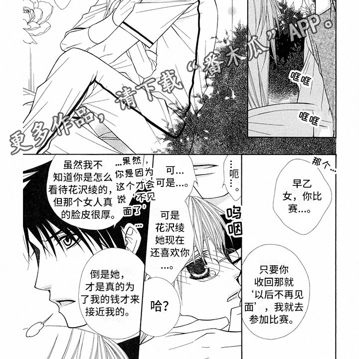 第29章：职业选手：解释