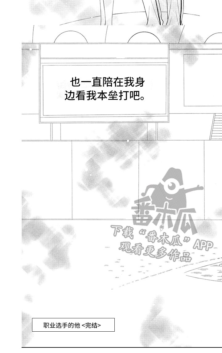 第30章：职业选手：回答