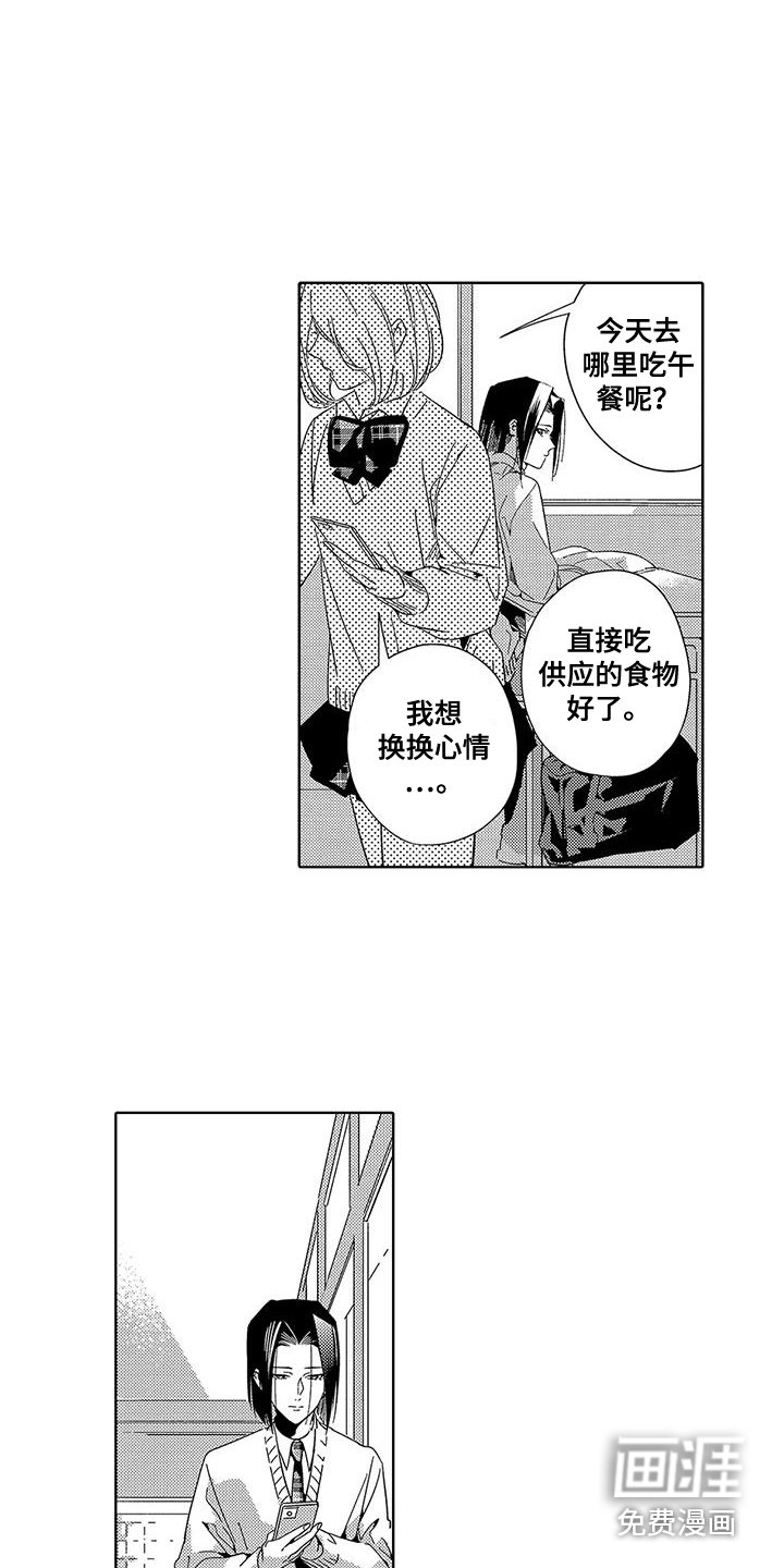 第14章：妆容