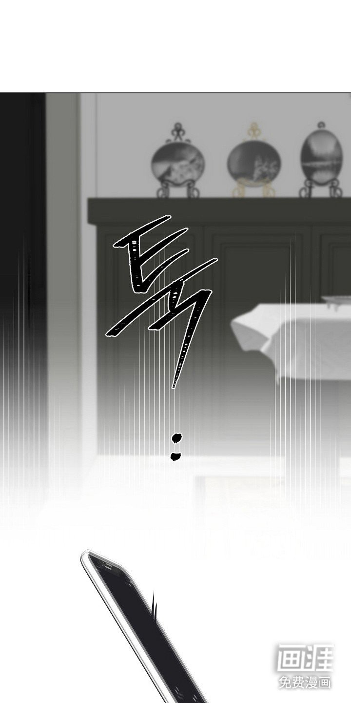 第15章：电话
