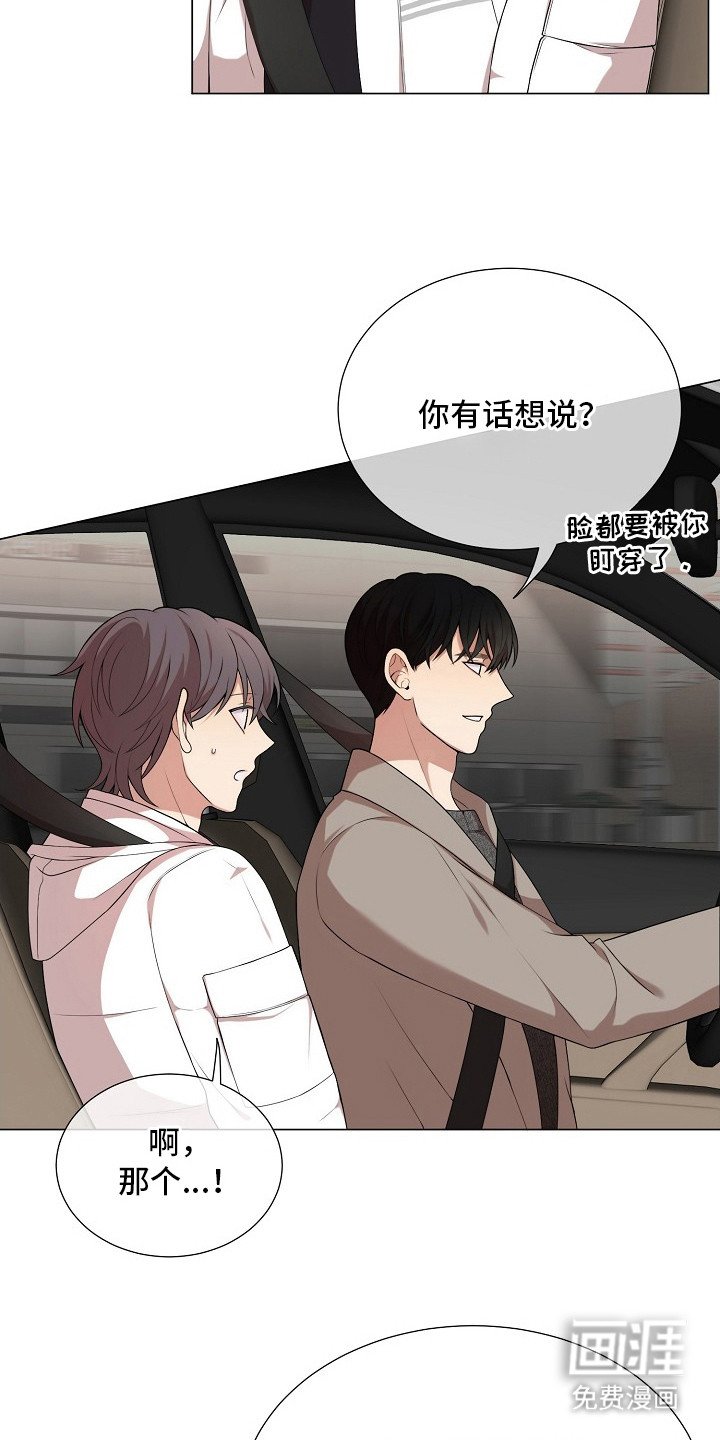 第19章： 隐情