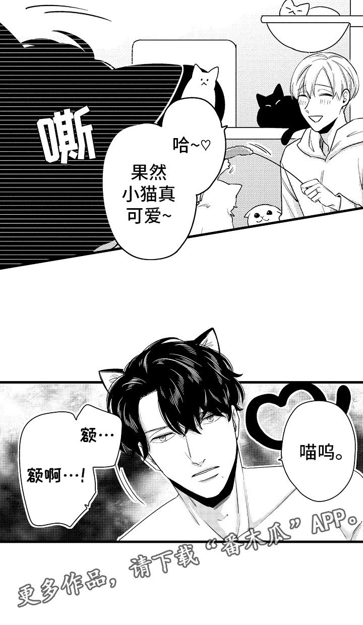 第15章：比那更重要