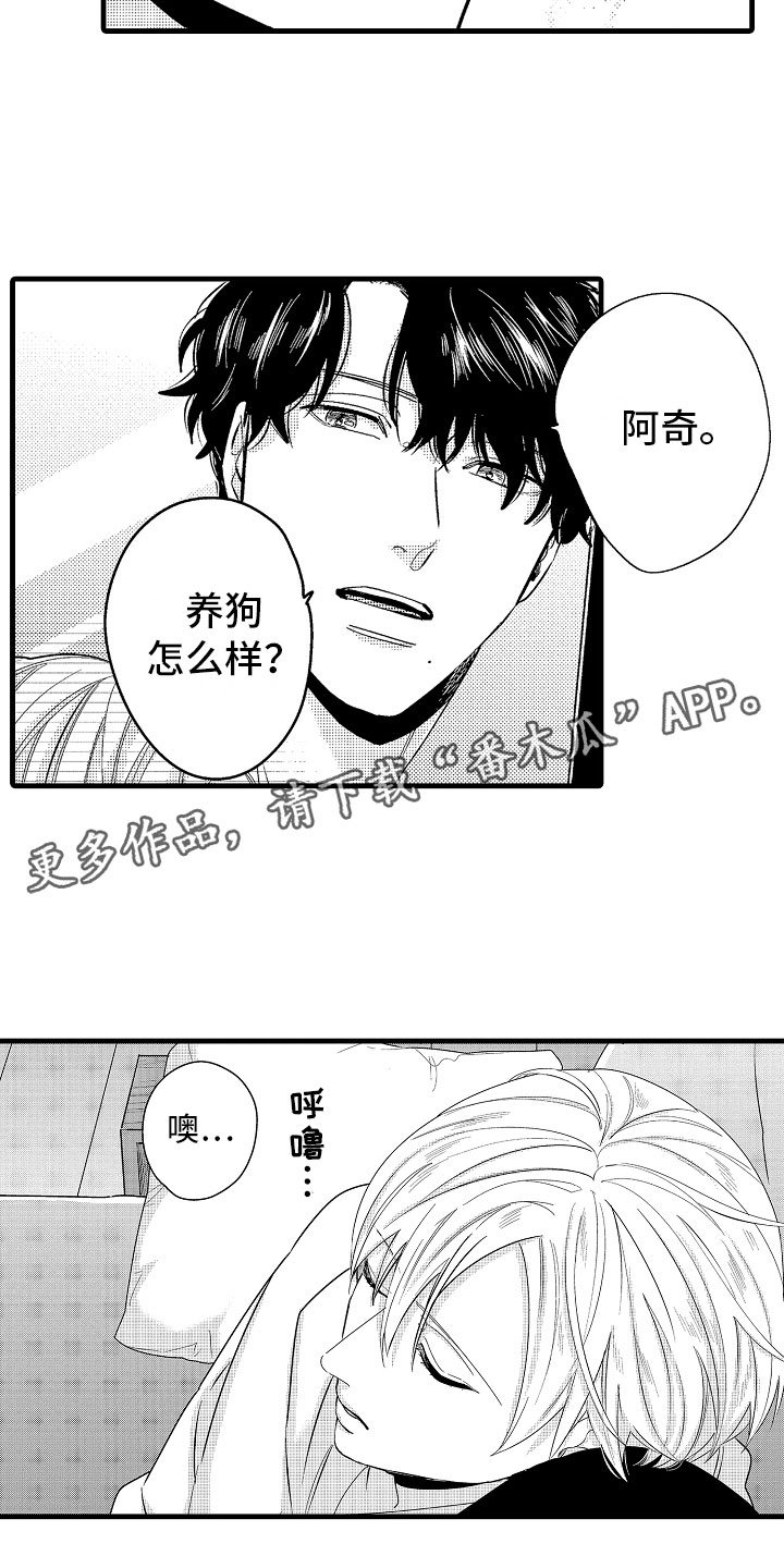 第23章：怀孕啦