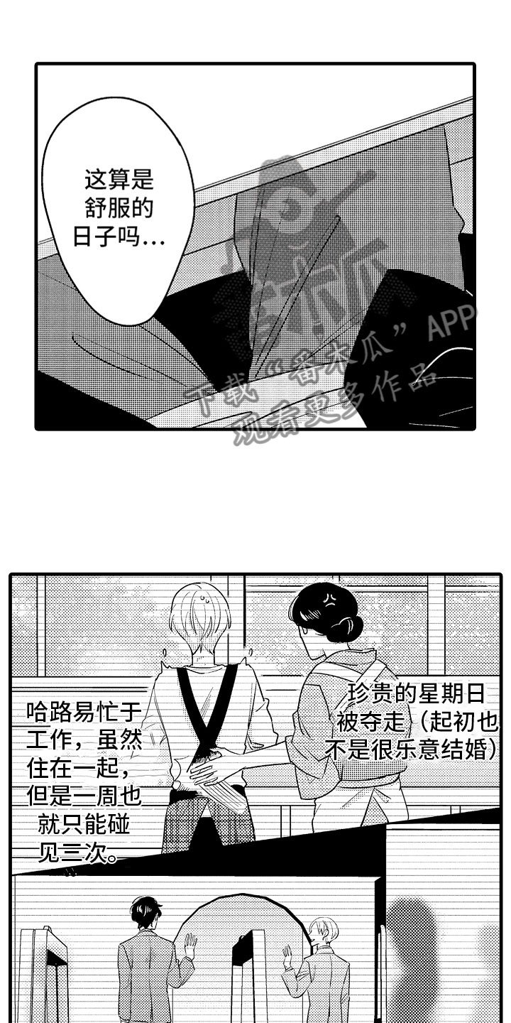 第5章：久违的重逢