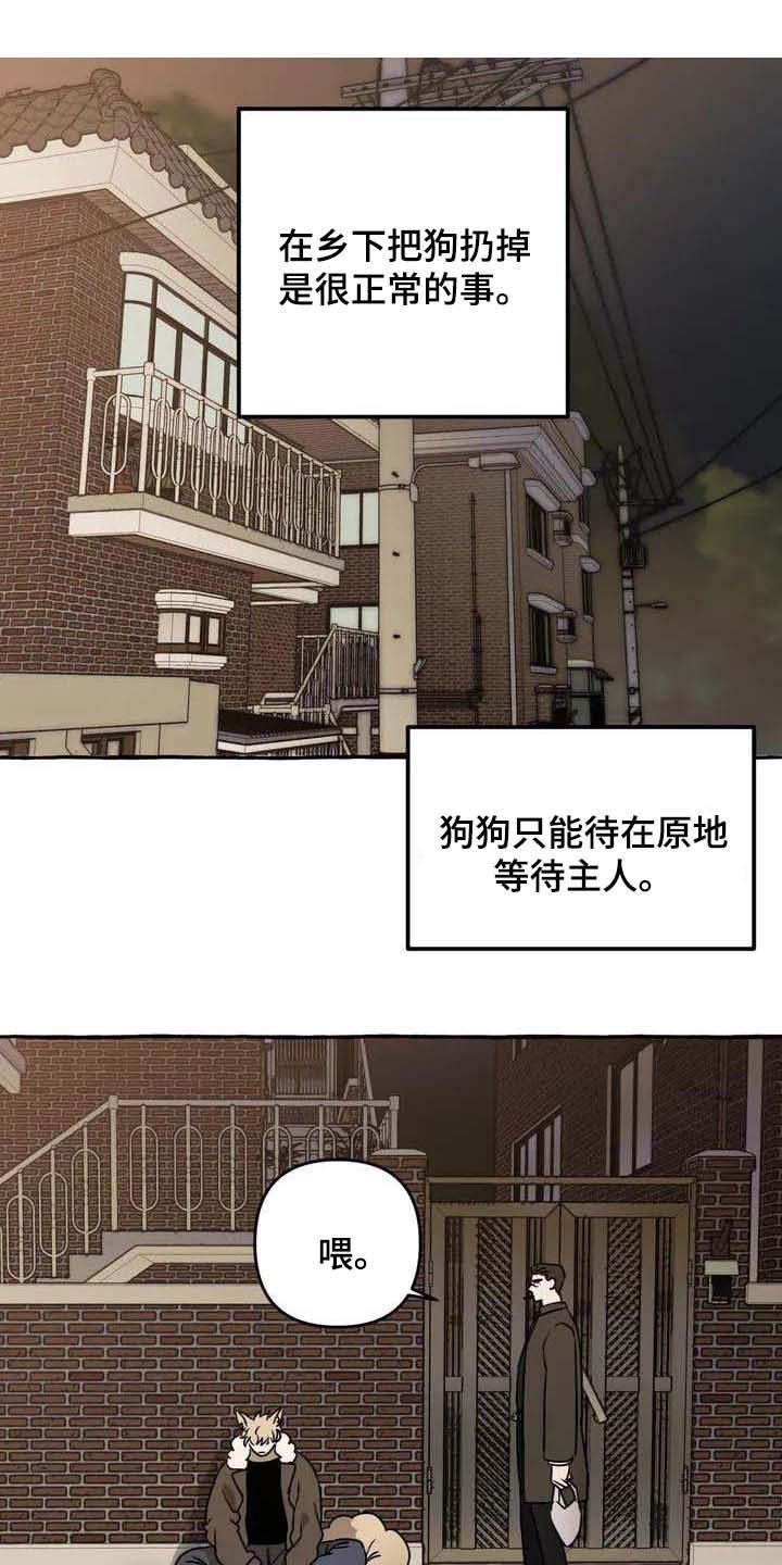 第1章：流浪狗