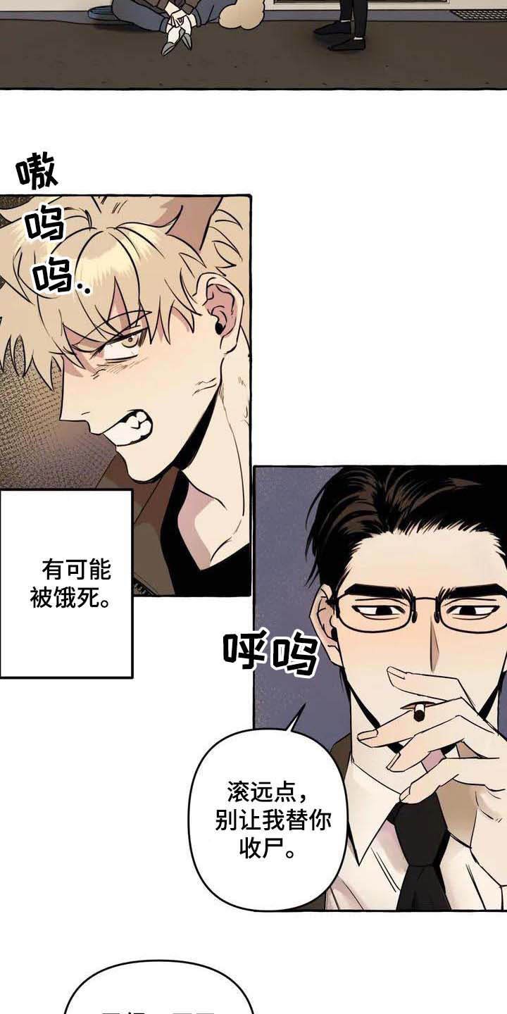 第1章：流浪狗