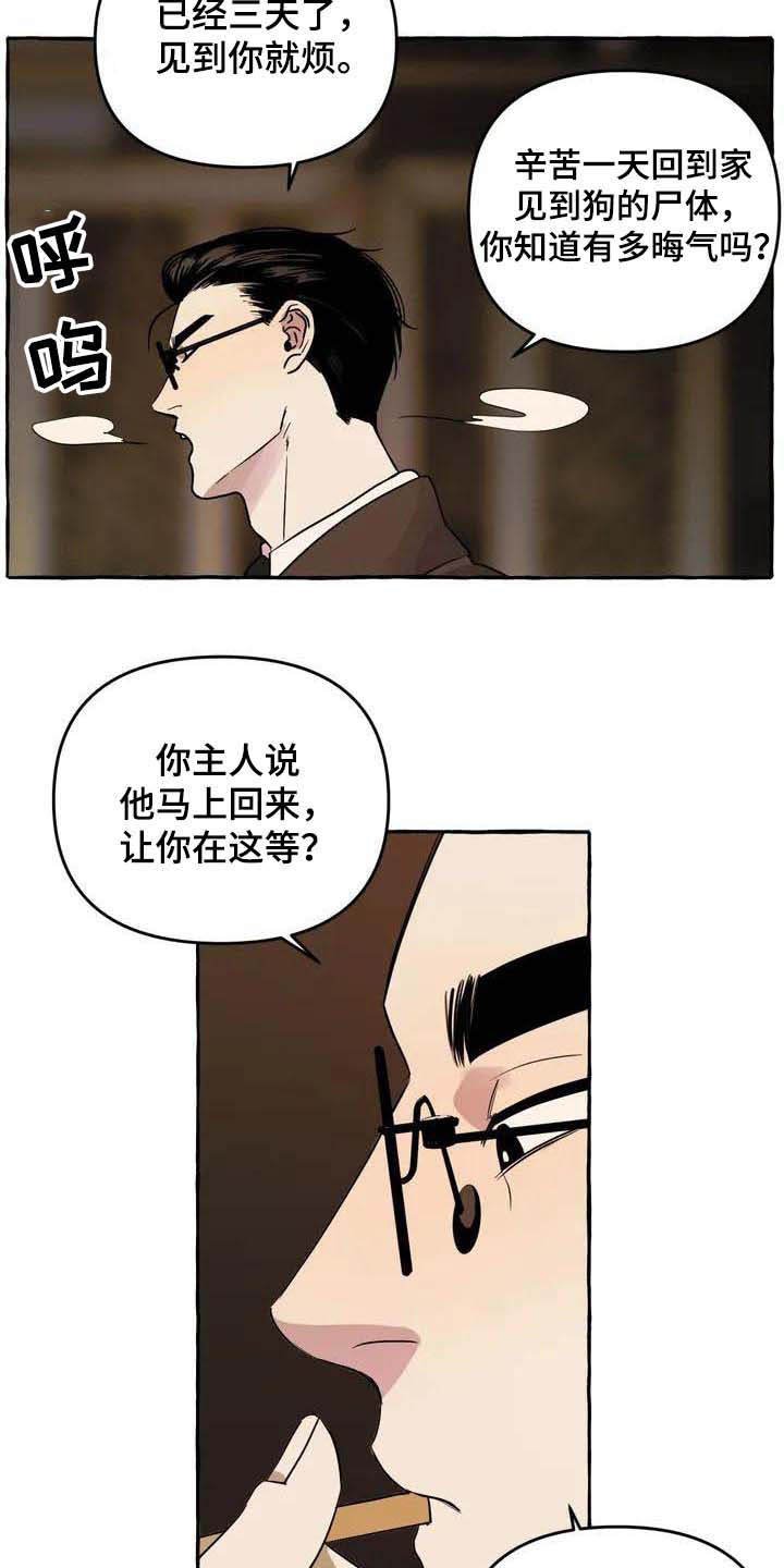 第1章：流浪狗