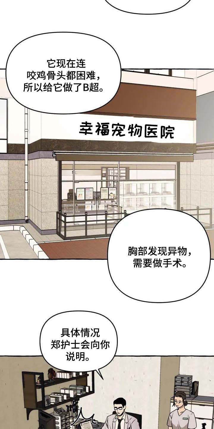第1章：流浪狗