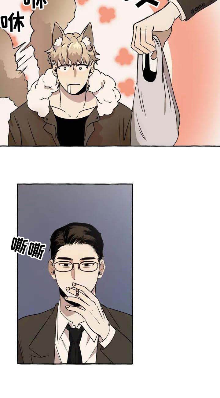 第1章：流浪狗