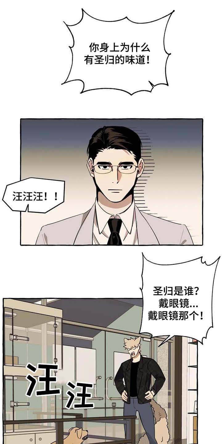 第10章：不老实