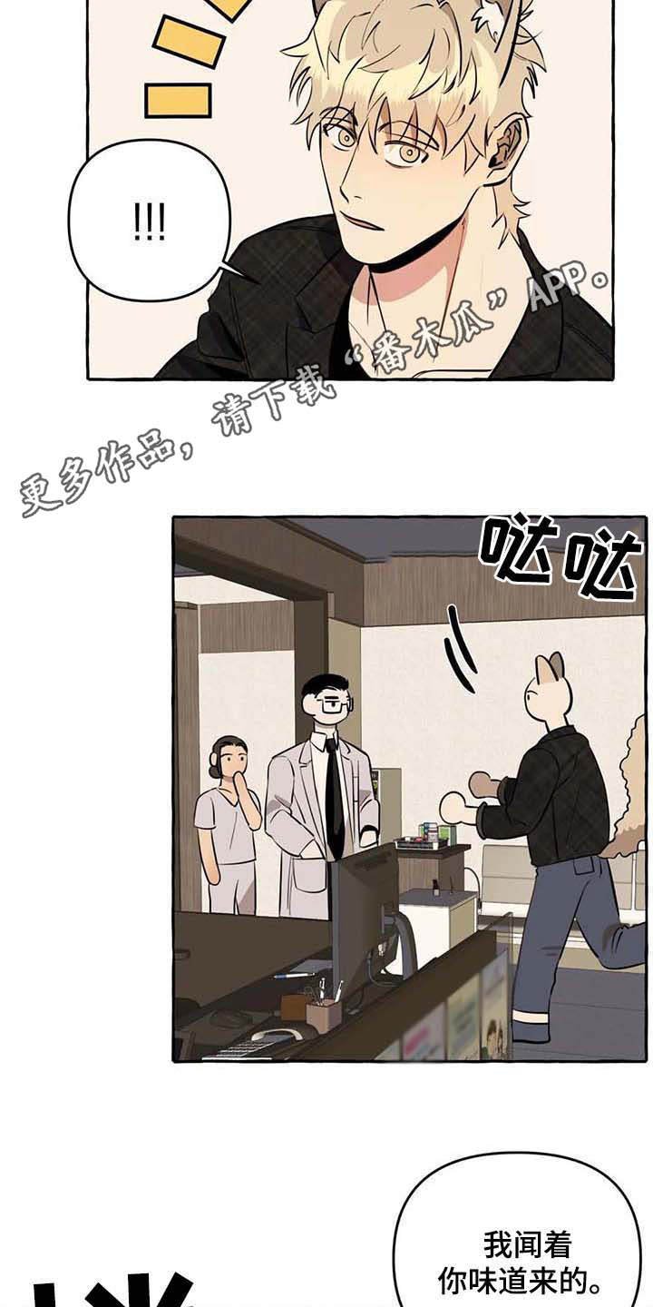 第10章：不老实