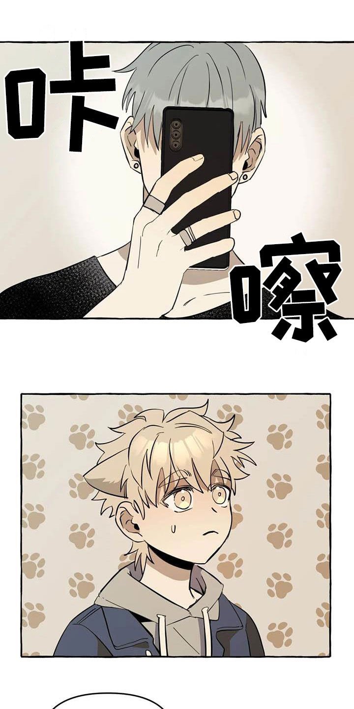 第12章：对比