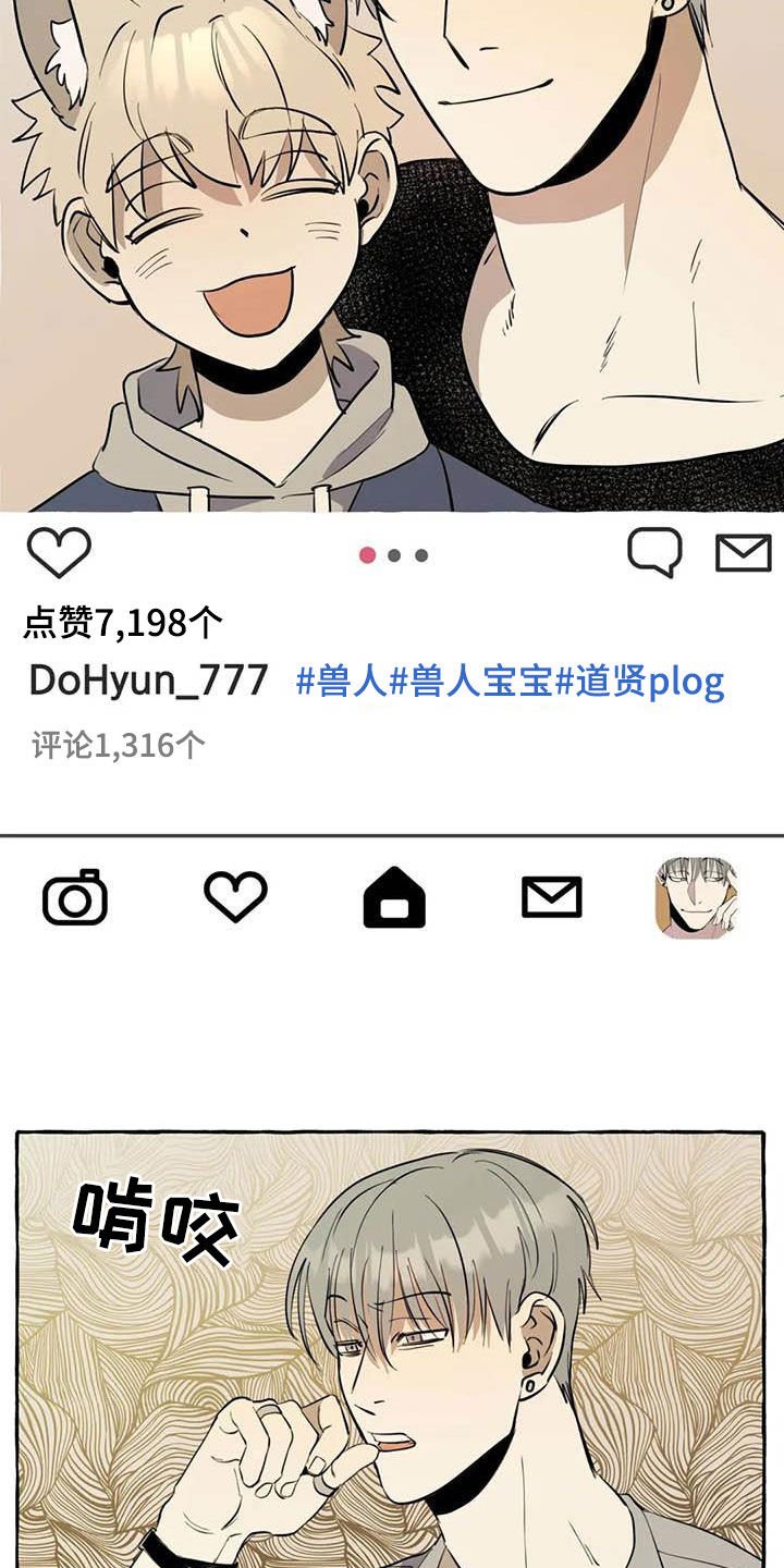 第12章：对比