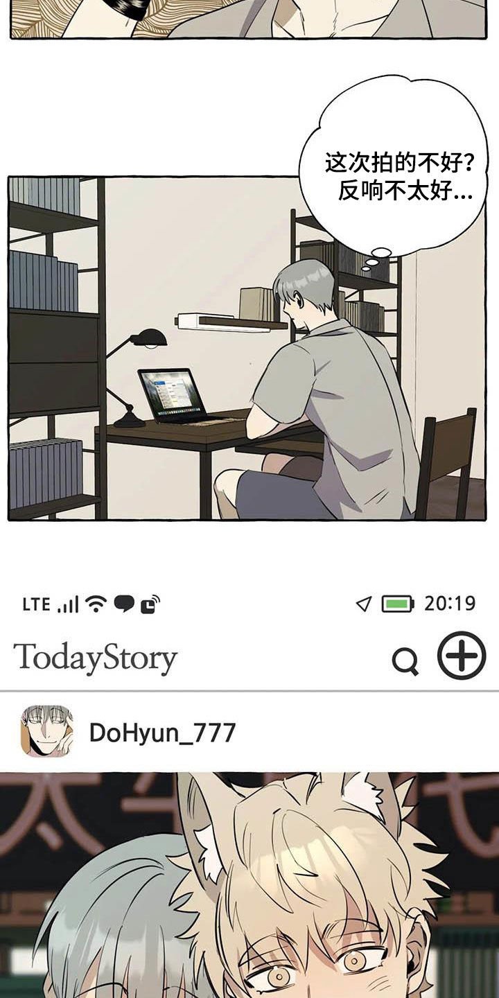 第12章：对比