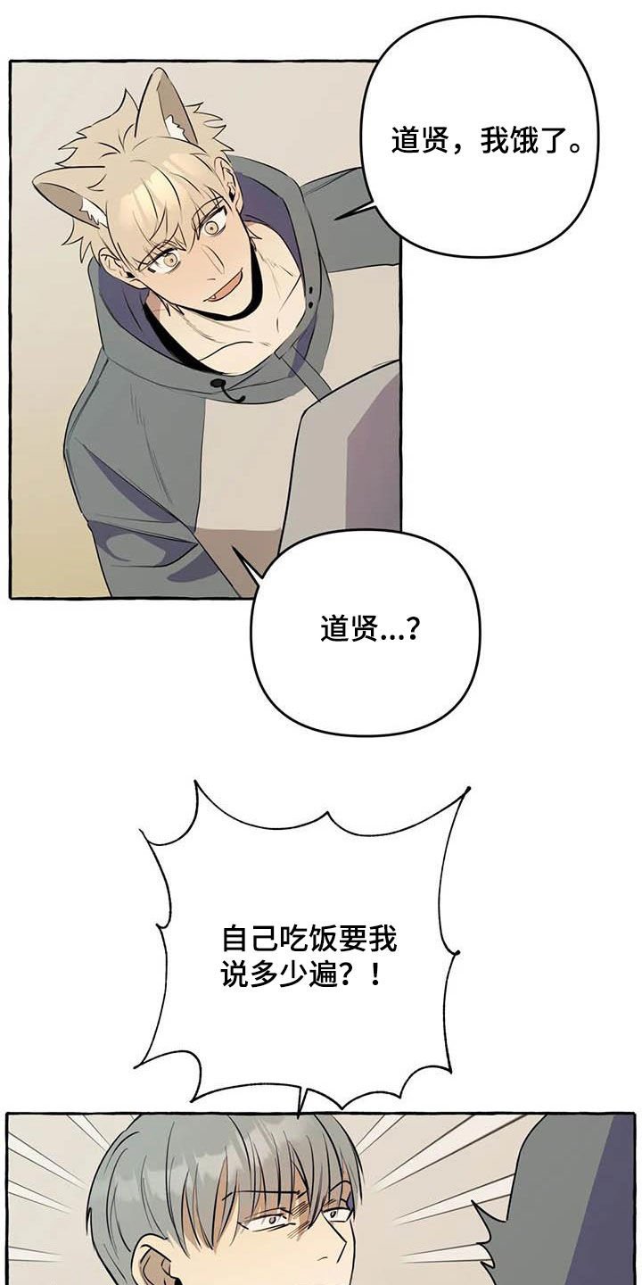 第12章：对比