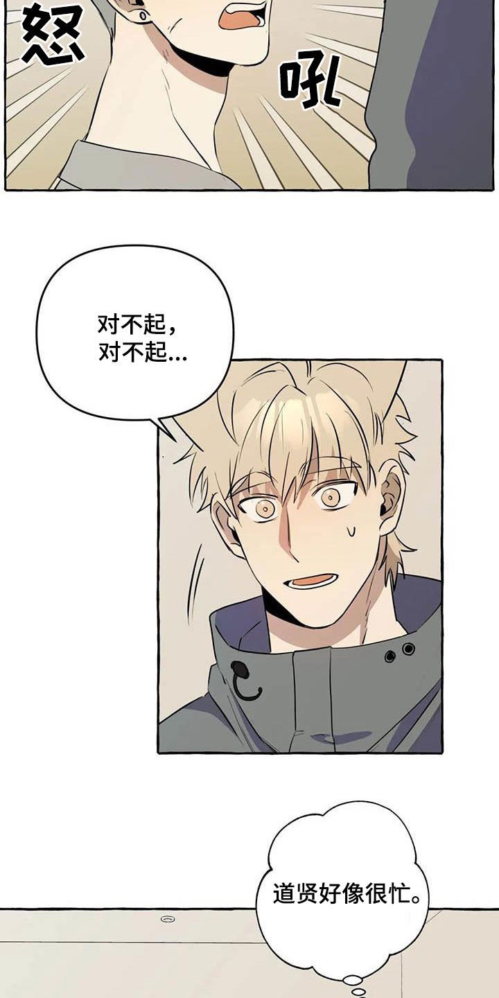 第12章：对比