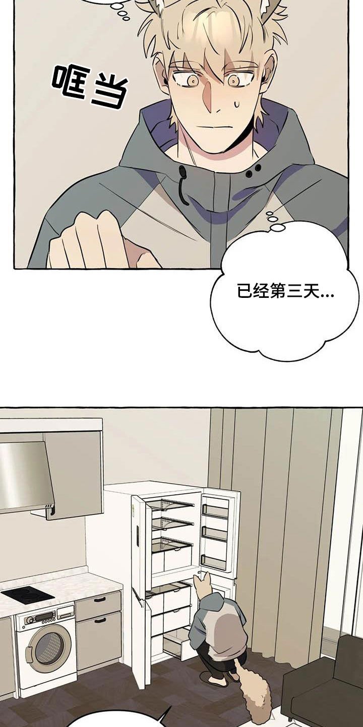 第12章：对比