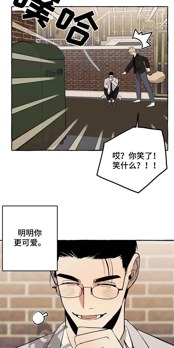 第15章：做饭