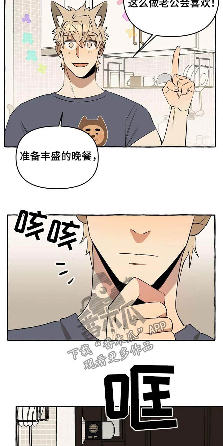 第15章：做饭