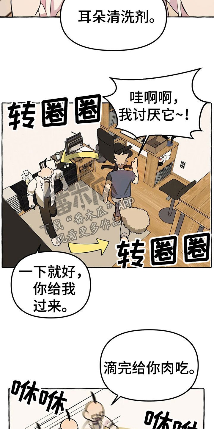 第18章：手机