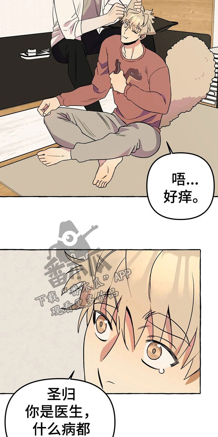 第18章：手机