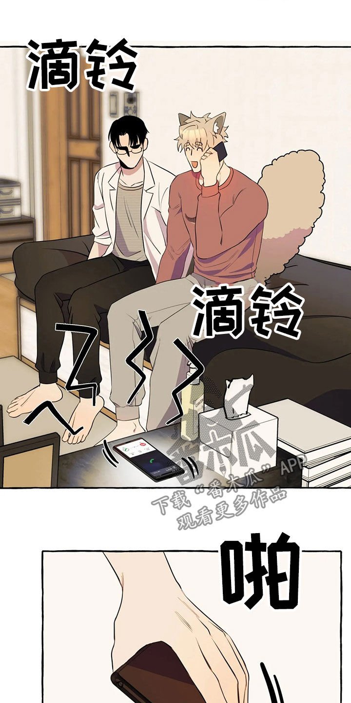 第18章：手机