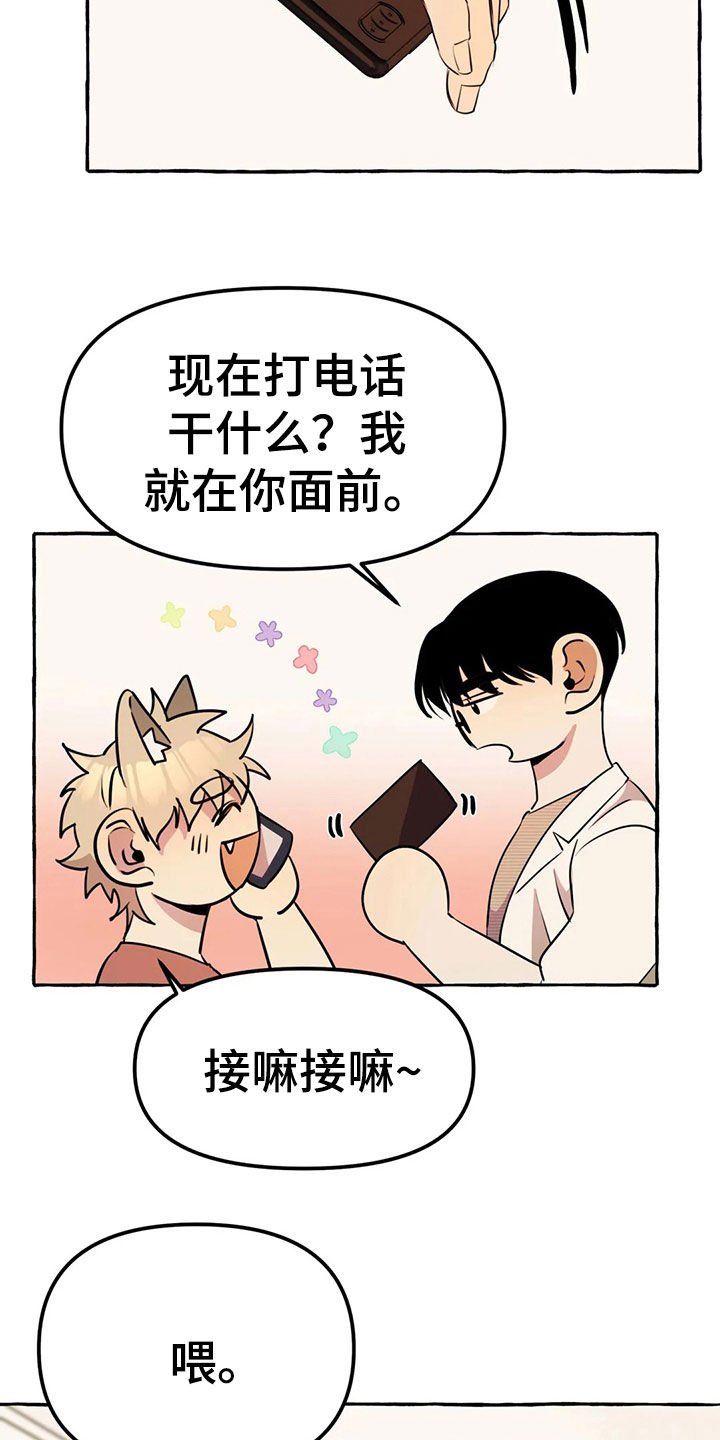 第18章：手机