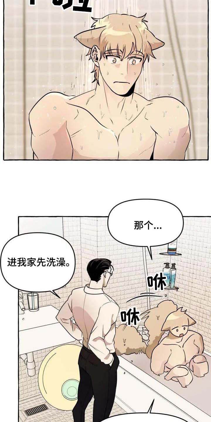 第2章：可怜
