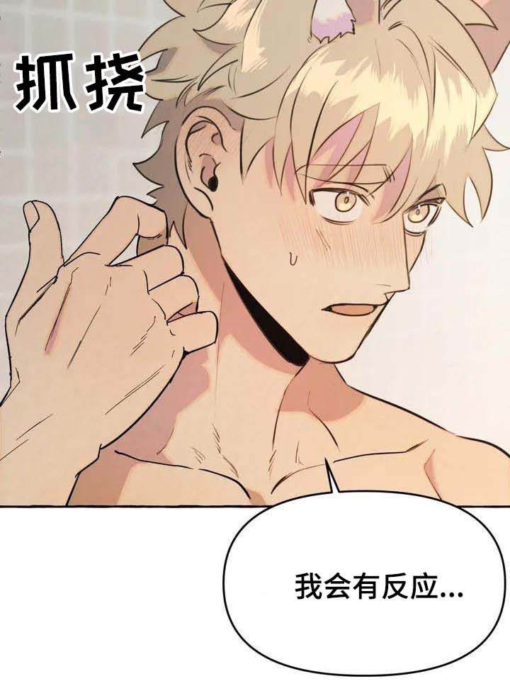 第2章：可怜