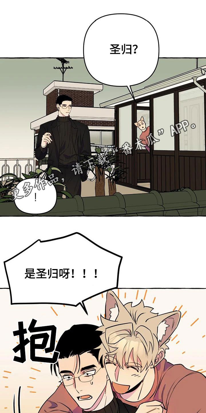 第20章：命中注定
