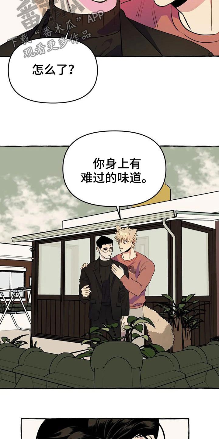第20章：命中注定