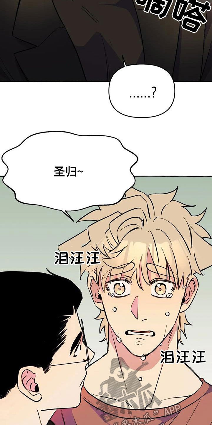 第20章：命中注定