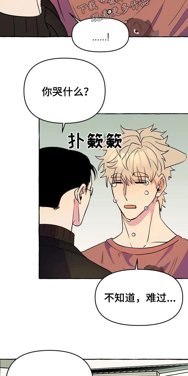 第20章：命中注定