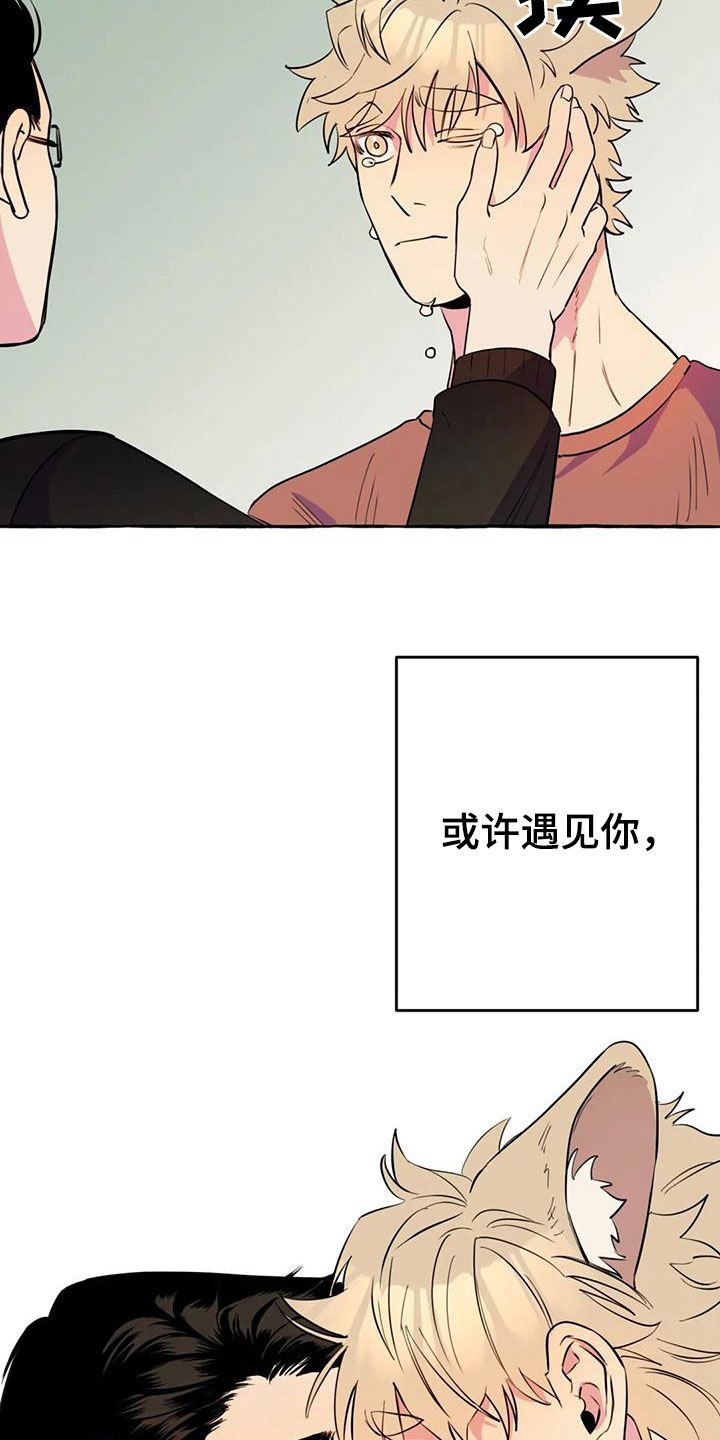 第20章：命中注定