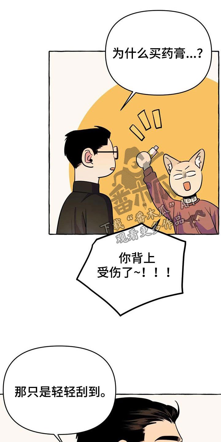 第20章：命中注定